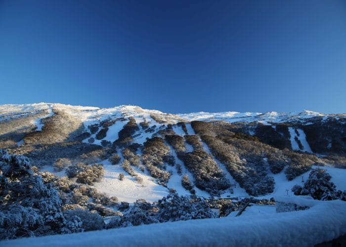 Snow Areas: Australia - Thredbo